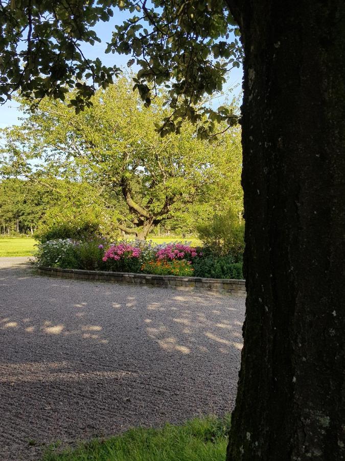 Komleryd Langas Esterno foto